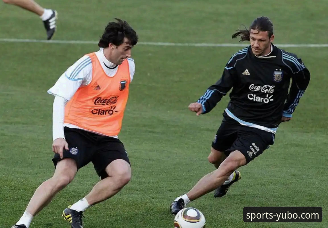 阿根廷世界杯前景分析完整指南：从帕尼切利重伤看战术变数与信息获取